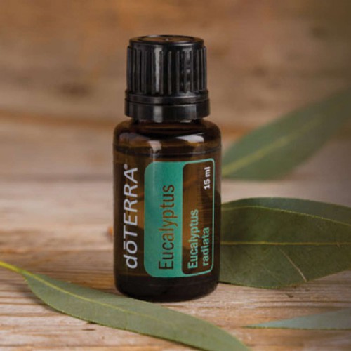 doterra-eucalyptus-oil
